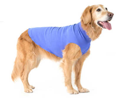 Goldpaw Stretch Fleece- Cornflower Blue