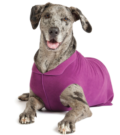 Goldpaw Stretch Fleece-Eggplant