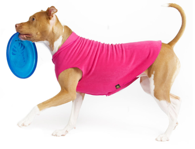 Goldpaw Stretch Fleece-Fuchsia